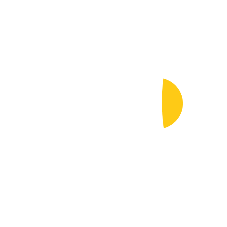 Graphic of megaphone on grey scale check background